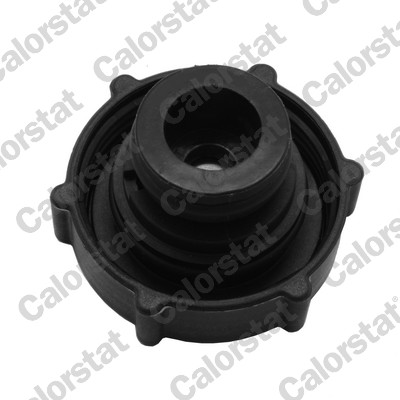 RC0194 CALORSTAT BY VERNET